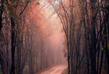 Robert Kiyosaki's Market Warning: Unpacking the Data and Investor Implications