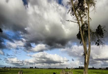 Robert Kiyosaki's Market Warning: Unpacking the Data and Investor Implications